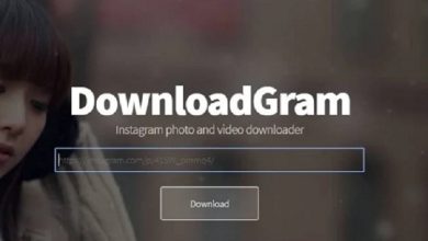 How can I download Instagram videos without the app?