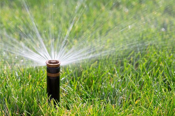 How Does Professional Sprinkler Installation Enhance Your Landscaping?