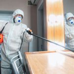 Top-Rated Exterminator Services in Niskayuna, NY: A Comprehensive Guide