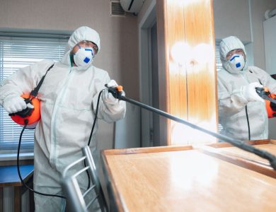 Top-Rated Exterminator Services in Niskayuna, NY: A Comprehensive Guide