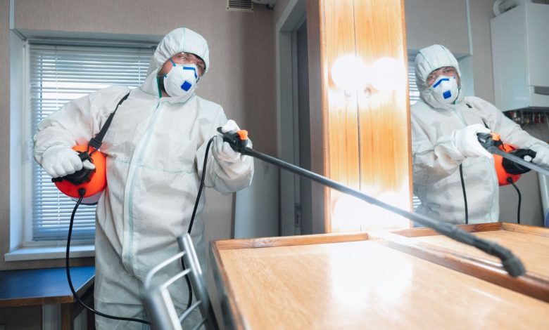 Top-Rated Exterminator Services in Niskayuna, NY: A Comprehensive Guide