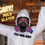 Preventing Mold for a Healthier Home Environment