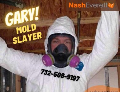 Preventing Mold for a Healthier Home Environment