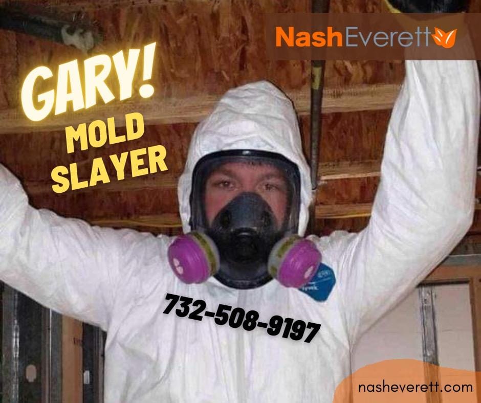 Preventing Mold for a Healthier Home Environment