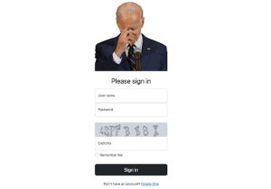  Bidencash