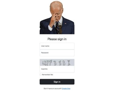 Bidencash